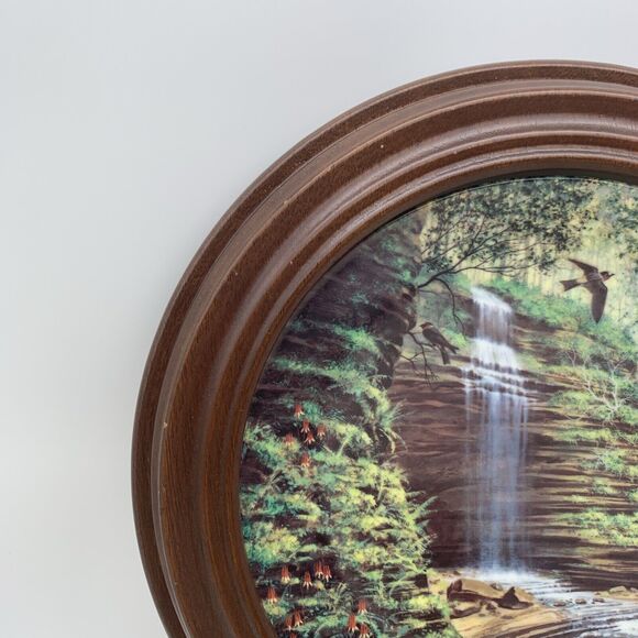 The Hidden Waterfall Plate Bart Jerner Less Travelled Road Collection with Frame - Picture 6 of 10